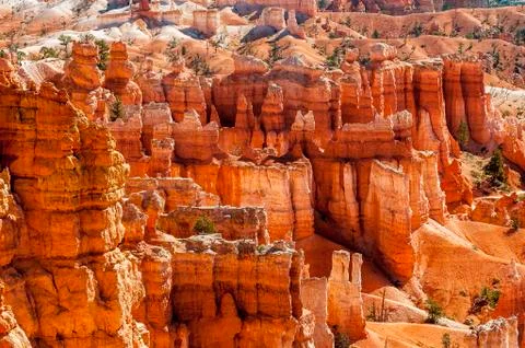 Bryce canyon Stock Photos