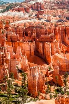 Bryce canyon Stock Photos
