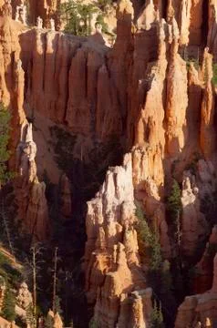 Bryce canyon 스톡 사진