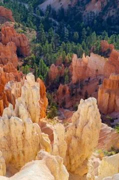 Bryce canyon 스톡 사진