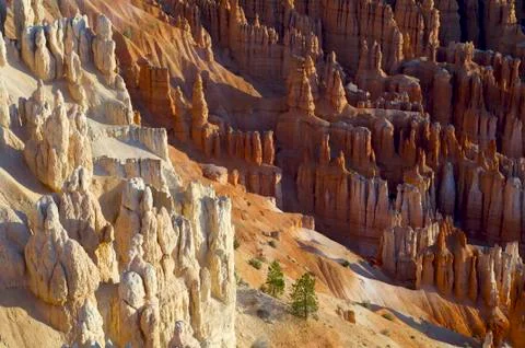 Bryce canyon 写真素材
