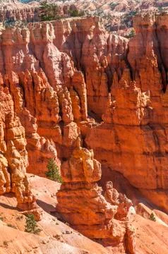 Bryce canyon Stock Photos