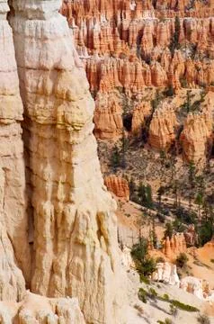 Bryce canyon Fotos de archivo
