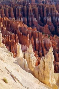 Bryce canyon Foto stock