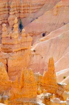 Bryce canyon Stock Photos