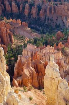 Bryce canyon Stock Photos