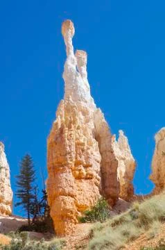 Bryce canyon 写真素材