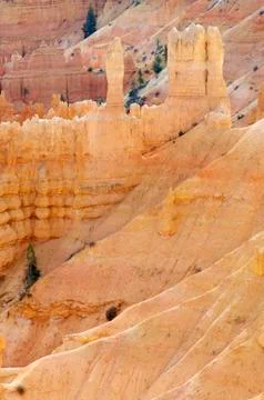 Bryce canyon Foto stock