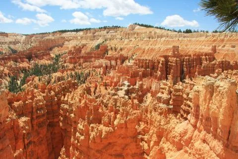 Bryce Canyon Stock Photos