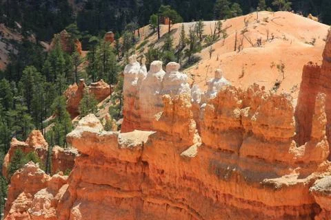Bryce Canyon Stock Photos
