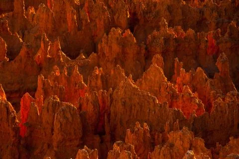 Bryce canyon Stock Photos