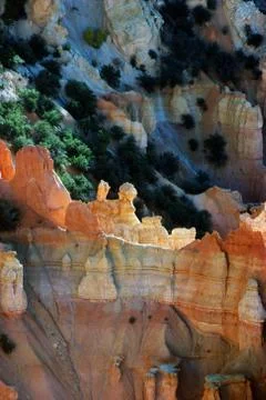 Bryce Canyon Stock Photos