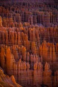 Bryce Canyon Stock Photos