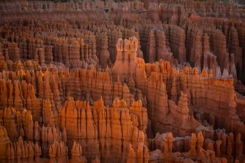 Bryce Canyon Stock Photos