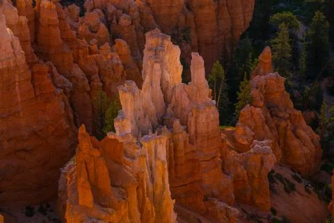 Bryce Canyon Stock Photos
