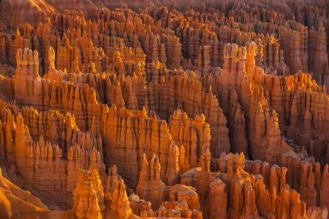 Bryce Canyon Stock Photos