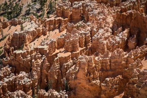 Bryce Canyon Stock Photos