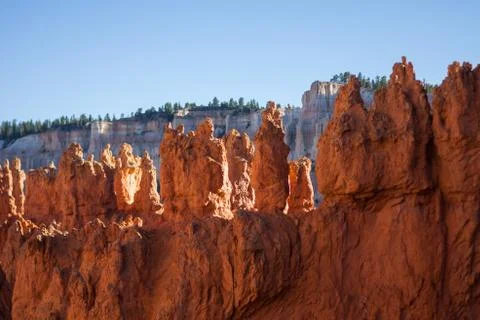 Bryce Canyon Stock Photos