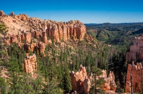 Bryce Canyon Stock Photos