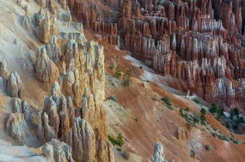Bryce Canyon Stock Photos