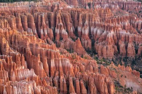 Bryce Canyon Stock Photos