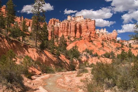 Bryce Canyon Stock Photos