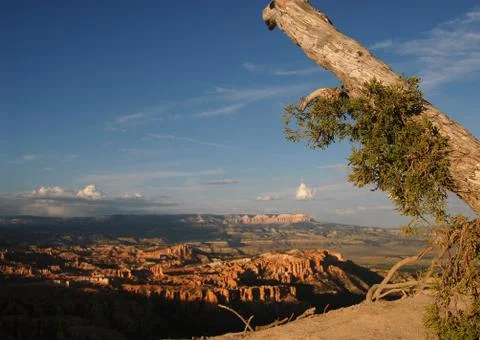 Bryce Canyon Stock Photos