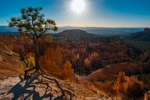 Bryce Canyon Foto stock