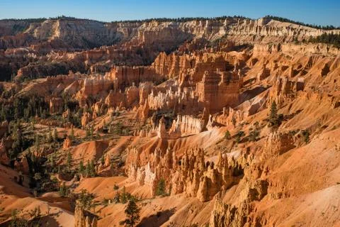 Bryce Canyon 库存照片