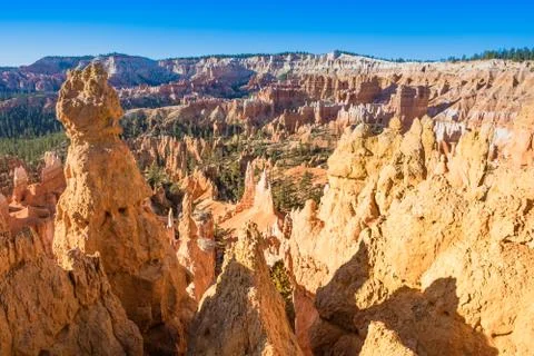 Bryce Canyon 库存照片