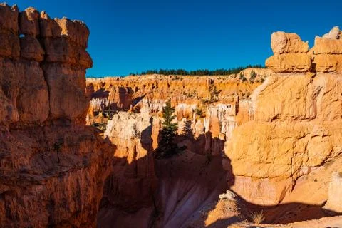 Bryce Canyon Foto stock