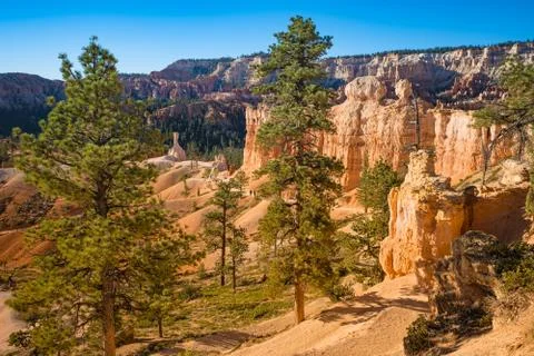 Bryce Canyon Stock-Fotos