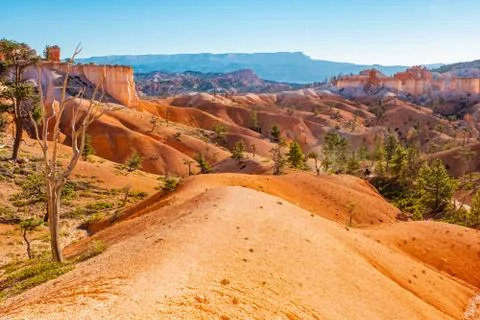 Bryce Canyon Stock-Fotos