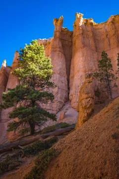 Bryce Canyon Foto stock