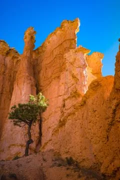 Bryce Canyon Foto stock