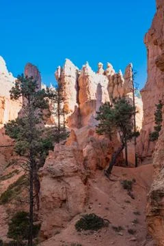 Bryce Canyon Foto stock