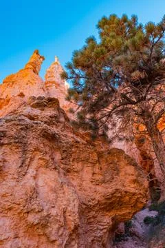 Bryce Canyon Foto stock