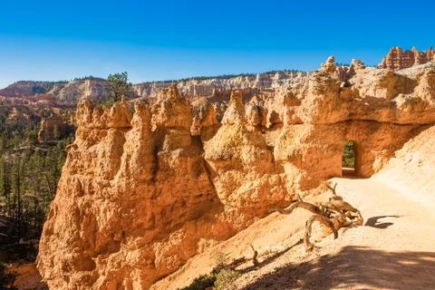 Bryce Canyon Foto stock
