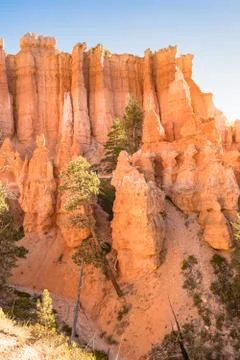 Bryce Canyon Foto stock