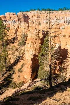 Bryce Canyon Stock-Fotos