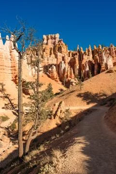 Bryce Canyon Foto stock