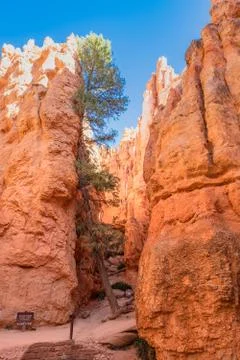 Bryce Canyon Foto stock