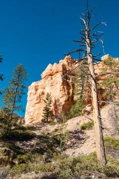 Bryce Canyon Foto stock