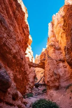 Bryce Canyon Foto stock