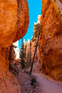 Bryce Canyon Foto stock