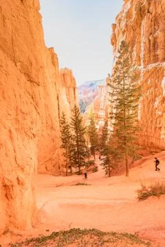 Bryce Canyon 写真素材