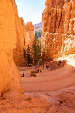 Bryce Canyon Foto stock