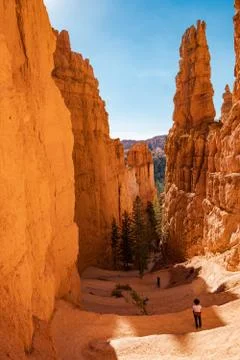 Bryce Canyon Foto stock