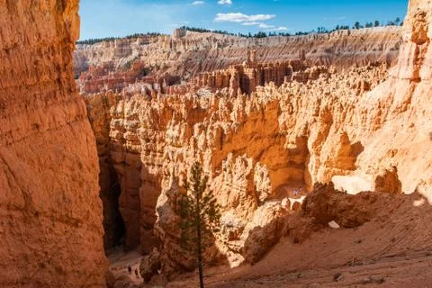 Bryce Canyon Foto stock