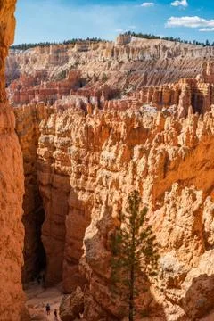 Bryce Canyon Foto stock
